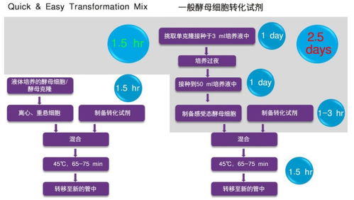 宝日医生物技术 北京 